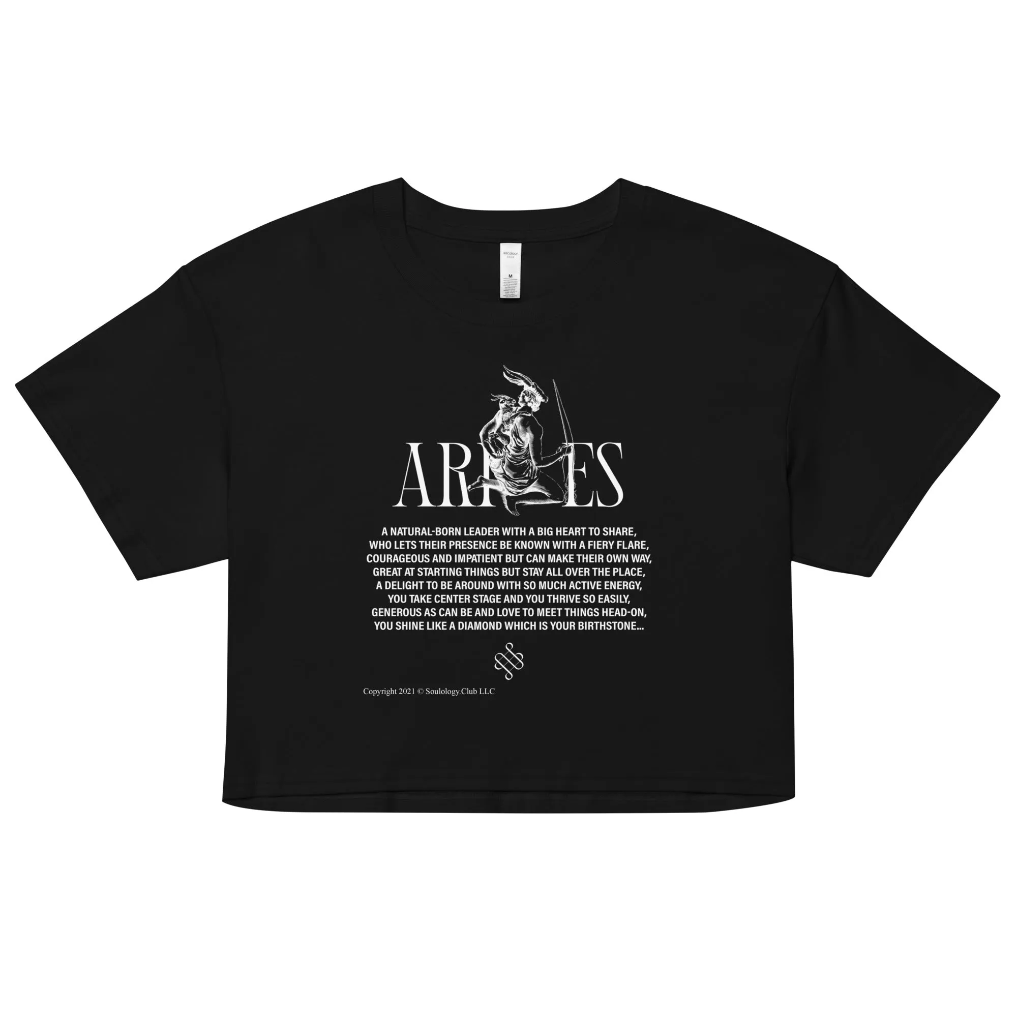 Aries Zodiac Crop Top