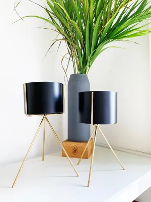 Black and Gold Cylinder Planter by Shiva Designs Bespoke