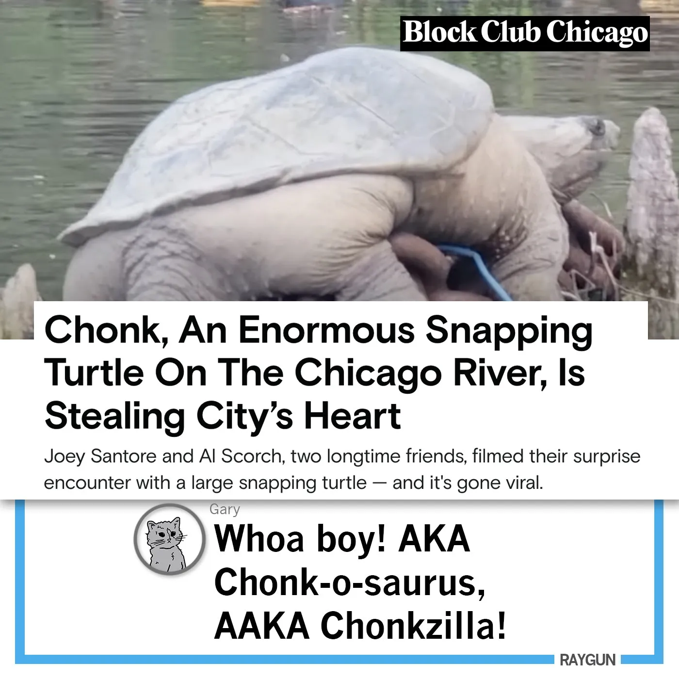 CHONK!