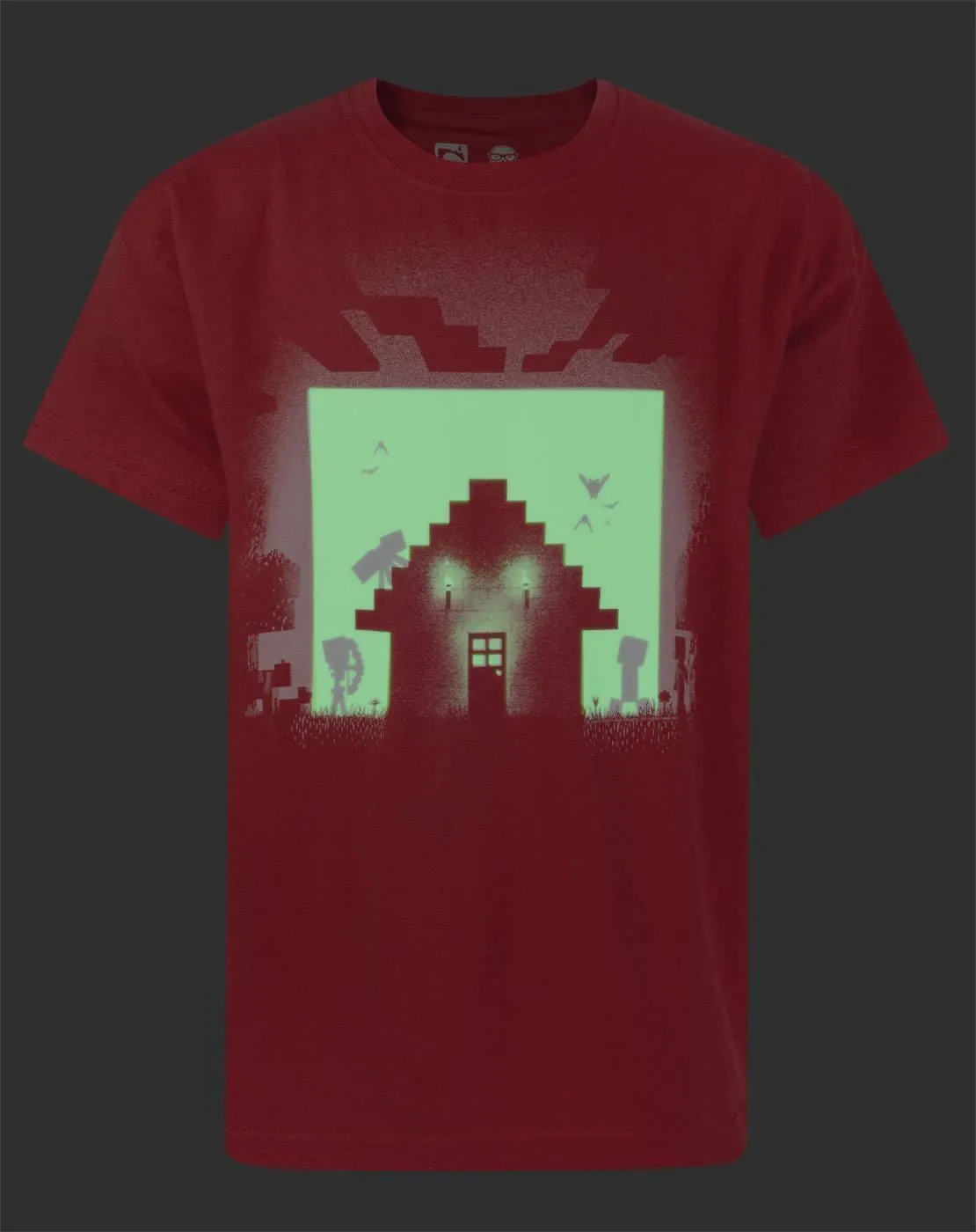 Minecraft Survival Red Boy's T-Shirt