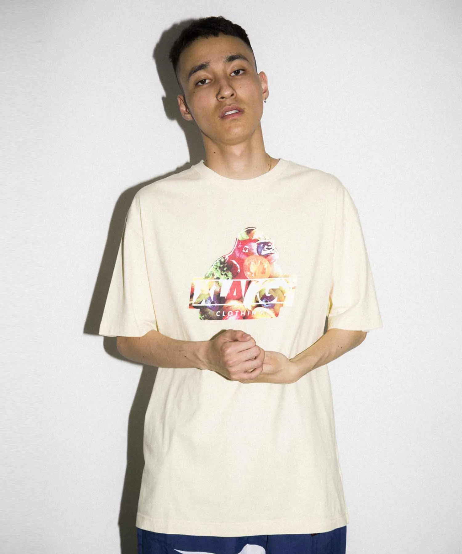 S/S TEE INGREDIENTS SLANTED OG