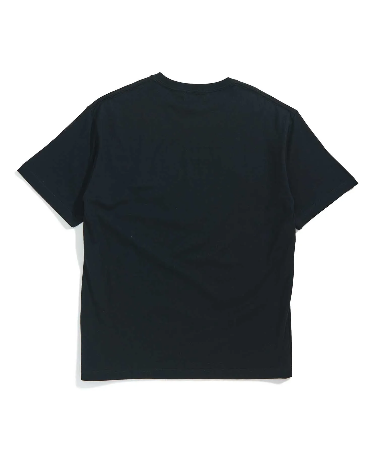 S/S TEE INGREDIENTS SLANTED OG